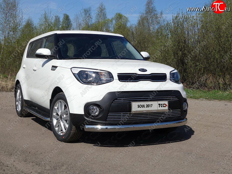 6 199 р. Рамка гос. номера ТСС Тюнинг  KIA Soul  PS (2017-2019) рестайлинг (нержавейка)  с доставкой в г. Краснодар