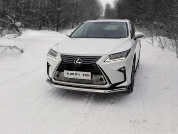 Рамка гос. номера ТСС Тюнинг Lexus RX350 AL10 рестайлинг (2012-2015)