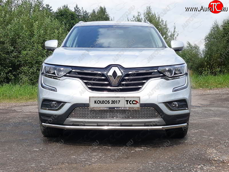 6 449 р. Рамка гос. номера ТСС Тюнинг Renault Koleos 2 (2016-2024) (нержавейка)  с доставкой в г. Краснодар