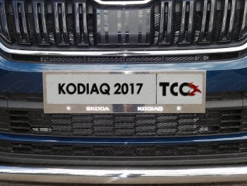 Рамка гос. номера ТСС Тюнинг Skoda Kodiaq NU7 дорестайлинг (2017-2021) ()