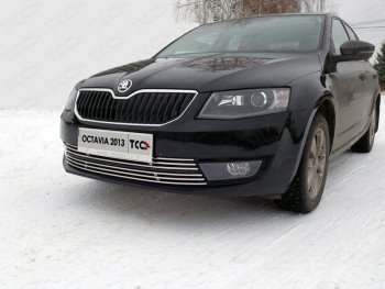 Рамка гос. номера ТСС Тюнинг Skoda Octavia A7 дорестайлинг лифтбэк (2012-2017)  (нержавейка)