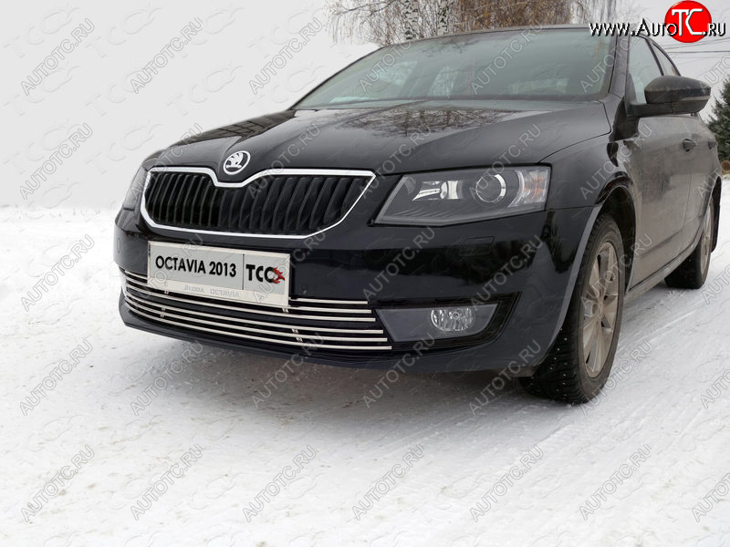 6 449 р. Рамка гос. номера ТСС Тюнинг Skoda Octavia A7 дорестайлинг лифтбэк (2012-2017) (нержавейка)  с доставкой в г. Краснодар