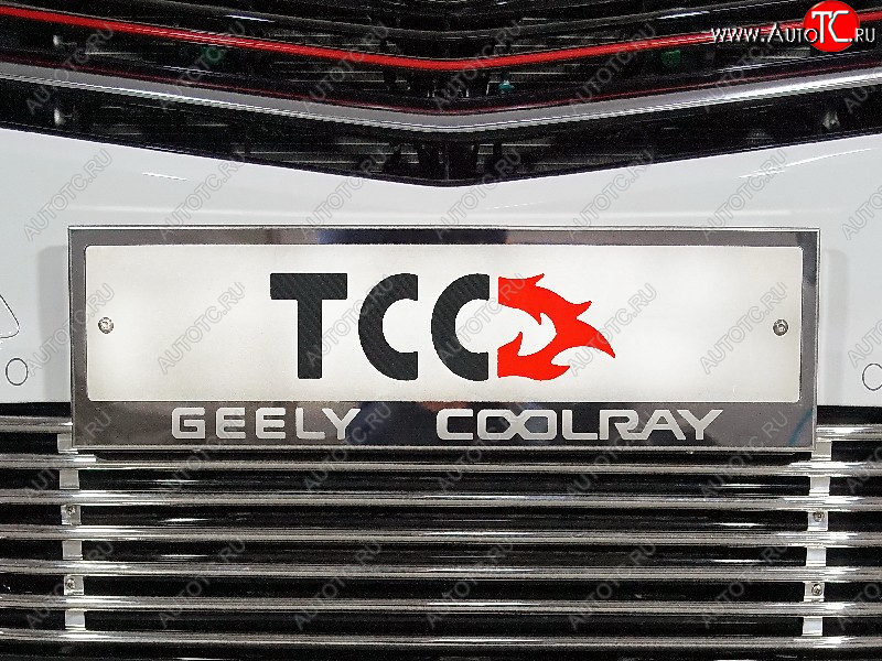 5 299 р. Рамка гос. номера ТСС Тюнинг Geely Coolray SX11 дорестайлинг (2018-2023) (нержавейка)  с доставкой в г. Краснодар