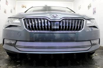 4 799 р. Защита радиатора (2 части) Стрелка11 Стандарт  Skoda Superb ( B8 (3V),  B8 (3V5)) (2015-2019) лифтбэк дорестайлинг, универсал дорестайлинг (хром)  с доставкой в г. Краснодар. Увеличить фотографию 2