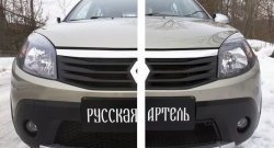 2 149 р. Защитная сетка решетки переднего бампера РА Renault Sandero Stepway (BS) (2010-2014)  с доставкой в г. Краснодар. Увеличить фотографию 2