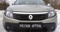 2 149 р. Защитная сетка решетки переднего бампера РА Renault Sandero Stepway (BS) (2010-2014)  с доставкой в г. Краснодар. Увеличить фотографию 3