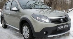 2 149 р. Защитная сетка решетки переднего бампера РА Renault Sandero Stepway (BS) (2010-2014)  с доставкой в г. Краснодар. Увеличить фотографию 4