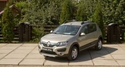 4 999 р. Молдинги дверей RA (комплект) Renault Sandero (B8) дорестайлинг (2014-2018) (Поверхность глянец (под окраску), Неокрашенные)  с доставкой в г. Краснодар. Увеличить фотографию 2