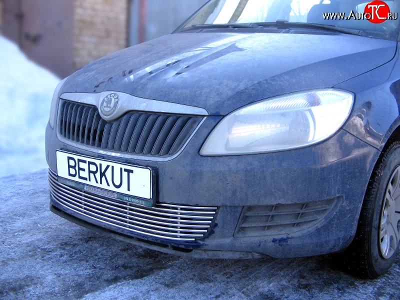 5 899 р. Декоративная вставка воздухозаборника Berkut Skoda Fabia Mk2 универсал дорестайлинг (2007-2010)  с доставкой в г. Краснодар