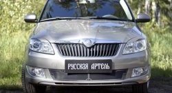 1 999 р. Защитная сетка решетки переднего бампера РА Skoda Fabia Mk2 хэтчбэк рестайлинг (2010-2014)  с доставкой в г. Краснодар. Увеличить фотографию 2