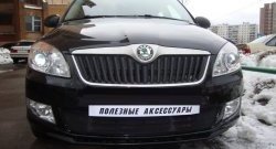 1 469 р. Сетка на бампер (рестайлинг) Russtal (черная) Skoda Fabia Mk2 универсал дорестайлинг (2007-2010)  с доставкой в г. Краснодар. Увеличить фотографию 3