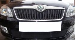 1 469 р. Сетка на бампер (рестайлинг) Russtal (черная) Skoda Fabia Mk2 универсал дорестайлинг (2007-2010)  с доставкой в г. Краснодар. Увеличить фотографию 4