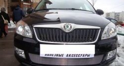 1 539 р. Сетка на бампер (рестайлинг) Russtal (хром) Skoda Fabia Mk2 универсал дорестайлинг (2007-2010)  с доставкой в г. Краснодар. Увеличить фотографию 2