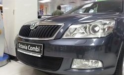 1 469 р. Сетка на бампер Russtal (черная) Skoda Octavia A5 рестайлинг универсал (2008-2013)  с доставкой в г. Краснодар. Увеличить фотографию 2