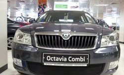 1 469 р. Сетка на бампер Russtal (черная) Skoda Octavia A5 рестайлинг универсал (2008-2013)  с доставкой в г. Краснодар. Увеличить фотографию 3