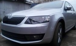 2 569 р. Сетка (для комплектации Ambition, Elegance) на бампер Russtal (черная) Skoda Octavia A7 дорестайлинг лифтбэк (2012-2017)  с доставкой в г. Краснодар. Увеличить фотографию 2