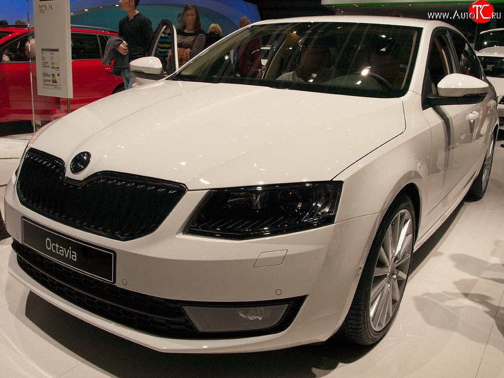 2 569 р. Сетка (для комплектации Ambition, Elegance) на бампер Russtal (черная) Skoda Octavia A7 дорестайлинг лифтбэк (2012-2017)  с доставкой в г. Краснодар