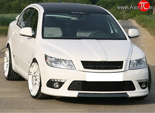 3 699 р. Решётка радиатора RS Style Skoda Octavia A5 рестайлинг универсал (2008-2013) (Алюминиевая черная сетка, Неокрашенная)  с доставкой в г. Краснодар