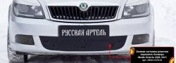 1 059 р. Зимняя заглушка решетки переднего бампера РА  Skoda Octavia  A5 (2008-2013) лифтбэк рестайлинг, рестайлинг универсал  с доставкой в г. Краснодар. Увеличить фотографию 2