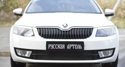 979 р. Зимняя заглушка решетки переднего бампера РА  Skoda Octavia  A7 (2012-2020) дорестайлинг лифтбэк, дорестайлинг универсал, рестайлинг универсал  с доставкой в г. Краснодар. Увеличить фотографию 2