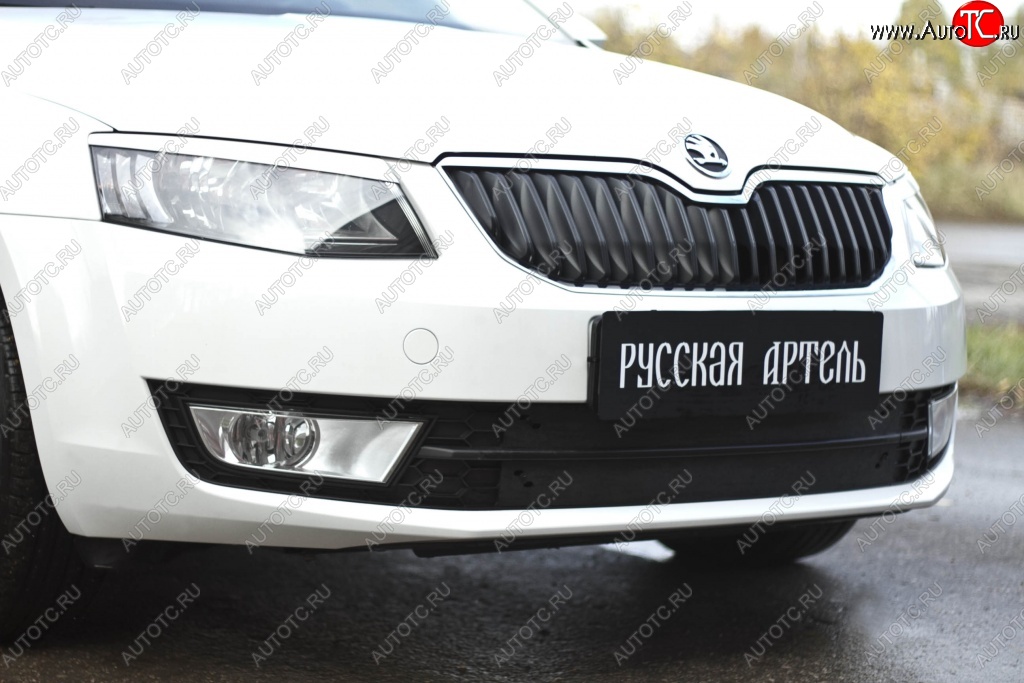 979 р. Зимняя заглушка решетки переднего бампера РА  Skoda Octavia  A7 (2012-2020) дорестайлинг лифтбэк, дорестайлинг универсал, рестайлинг универсал  с доставкой в г. Краснодар