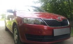 2 339 р. Сетка на бампер Russtal (черная)  Skoda Rapid ( NH3,  NH1) (2012-2017) дорестайлинг лифтбэк, хэтчбэк дорестайлинг  с доставкой в г. Краснодар. Увеличить фотографию 3