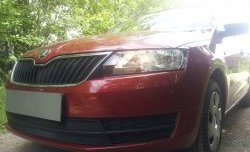 Сетка на бампер Russtal (черная) Skoda (Шкода) Rapid (Рапид) ( NH3,  NH1) (2012-2017) NH3, NH1 дорестайлинг лифтбэк, хэтчбэк дорестайлинг