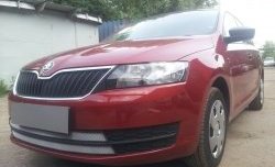 2 399 р. Сетка на бампер Russtal (хром)  Skoda Rapid ( NH3,  NH1) (2012-2017) дорестайлинг лифтбэк, хэтчбэк дорестайлинг  с доставкой в г. Краснодар. Увеличить фотографию 4