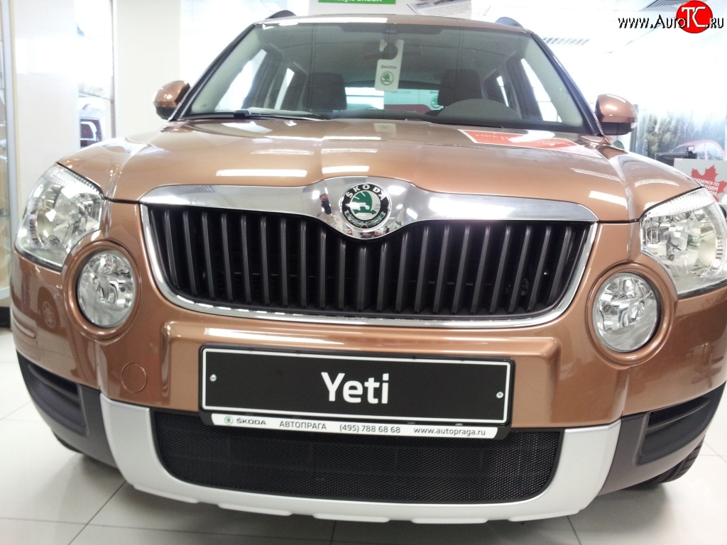 1 469 р. Сетка на бампер Russtal (черная)  Skoda Yeti (2009-2013)  с доставкой в г. Краснодар