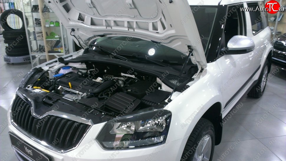 2 199 р. Газовый упор капота Berkut Skoda Yeti (2009-2013)  с доставкой в г. Краснодар