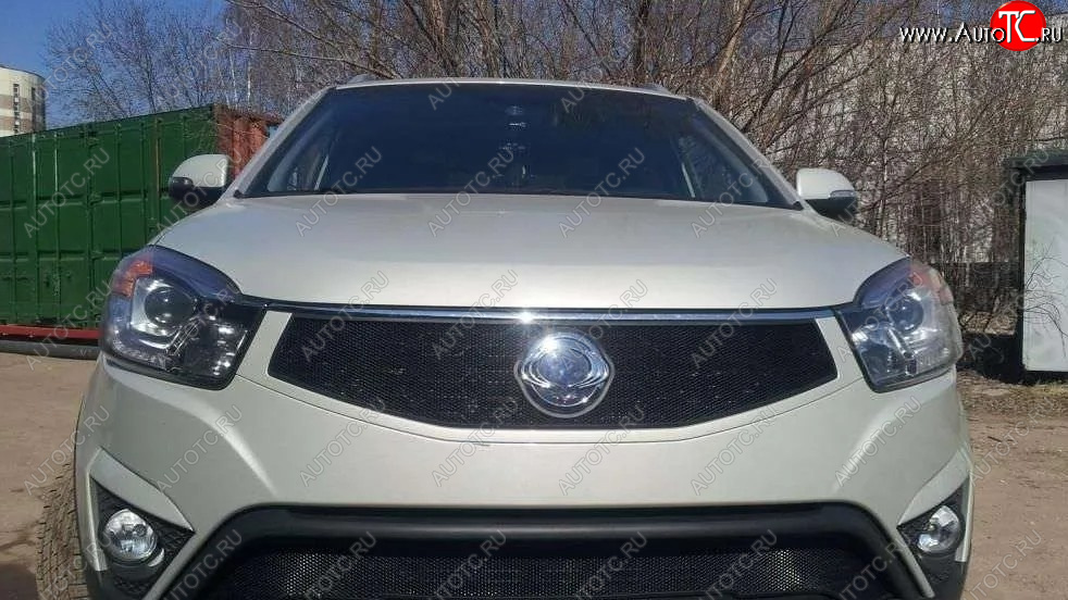 1 469 р. Защитная сетка в решетку радиатора Russtal  SSANGYONG Actyon (2013-2021) рестайлинг  с доставкой в г. Краснодар