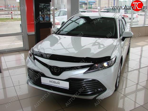 2 879 р. Дефлектор капота SIM Toyota Camry XV70 дорестайлинг (2017-2021)  с доставкой в г. Краснодар