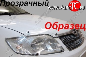 2 079 р. Защита фар (J120-J125) CA-Plastic  Toyota Land Cruiser Prado  J120 (2002-2009) (Classic прозрачный)  с доставкой в г. Краснодар