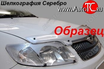 2 299 р. Защита фар (J120-J125) CA-Plastic  Toyota Land Cruiser Prado  J120 (2002-2009) (Шелкография серебро)  с доставкой в г. Краснодар