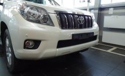 1 469 р. Сетка на бампер Russtal (черная) Toyota Land Cruiser Prado J150 дорестайлинг (2009-2013)  с доставкой в г. Краснодар. Увеличить фотографию 1