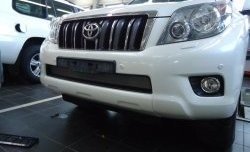 1 539 р. Сетка на бампер Russtal (хром) Toyota Land Cruiser Prado J150 дорестайлинг (2009-2013)  с доставкой в г. Краснодар. Увеличить фотографию 2