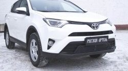 329 р. Реснички на фары RA  Toyota RAV4  XA40 (2015-2019) 5 дв. рестайлинг (Неокрашенные)  с доставкой в г. Краснодар. Увеличить фотографию 2