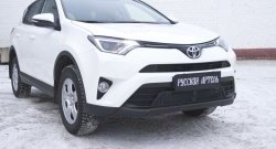 1 939 р. Защитная сетка решетки переднего бампера РА Toyota RAV4 XA40 5 дв. рестайлинг (2015-2019)  с доставкой в г. Краснодар. Увеличить фотографию 2