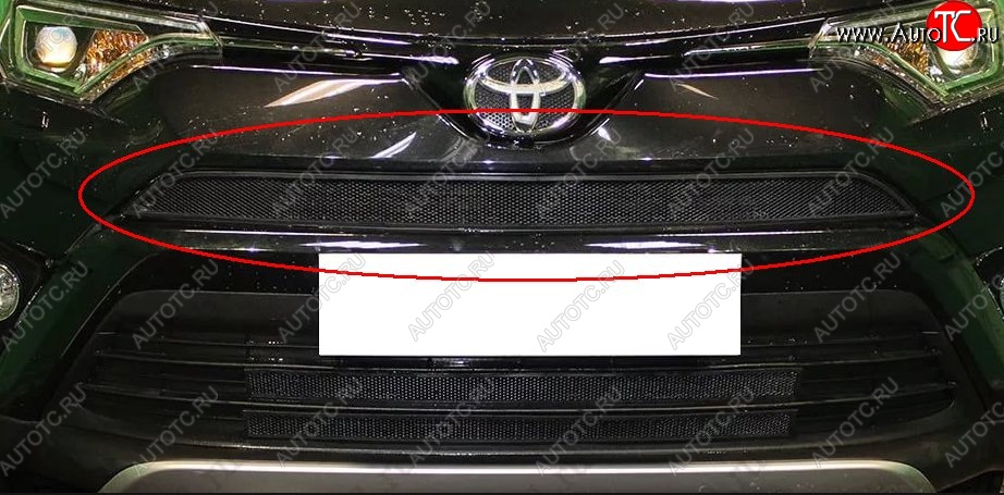 1 469 р. Сетка в решетку радиатора Russtal  Toyota RAV4  XA40 (2015-2019) 5 дв. рестайлинг (черная)  с доставкой в г. Краснодар