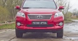 1 349 р. Защитная сетка решетки переднего бампера РА Toyota RAV4 XA30 5 дв. 2-ой рестайлинг (2010-2013)  с доставкой в г. Краснодар. Увеличить фотографию 3