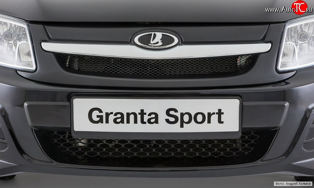 1 939 р. Решётка радиатора Granta Sport ВИС 2349 бортовой грузовик дорестайлинг (2012-2018) (Неокрашенная)  с доставкой в г. Краснодар