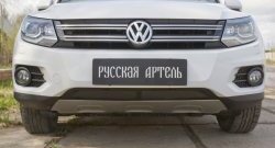 1 639 р. Защитная сетка решетки переднего бампера (Track & Field) РА  Volkswagen Tiguan  NF (2011-2017) рестайлинг  с доставкой в г. Краснодар. Увеличить фотографию 2