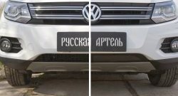 1 639 р. Защитная сетка решетки переднего бампера (Track & Field) РА  Volkswagen Tiguan  NF (2011-2017) рестайлинг  с доставкой в г. Краснодар. Увеличить фотографию 4